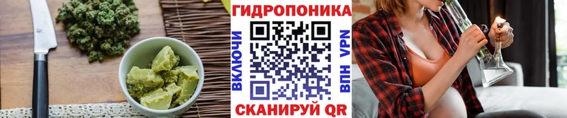 кракен онион  Калач  Cannafood марихуана 