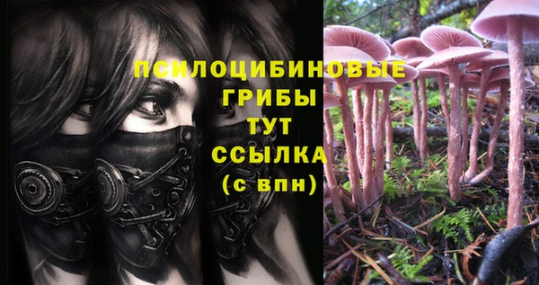 мет Богородицк