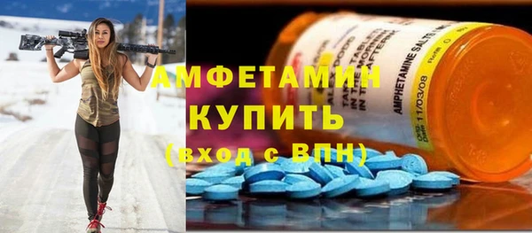 дживик Богородск